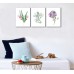 Canvas Art Tropical Flowers with Butterfly Birds Painting Wall Art Decor 12" x 16" 3 Pieces Canvas Prints Watercolor with Black Border Framed Ready to Hang for Home Decoration